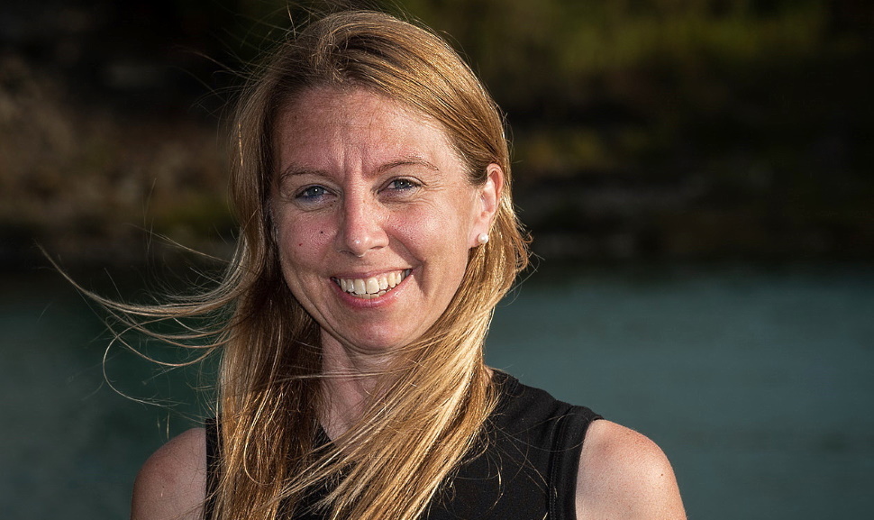 O'Driscoll wants to bring accountability to parliament, gov't